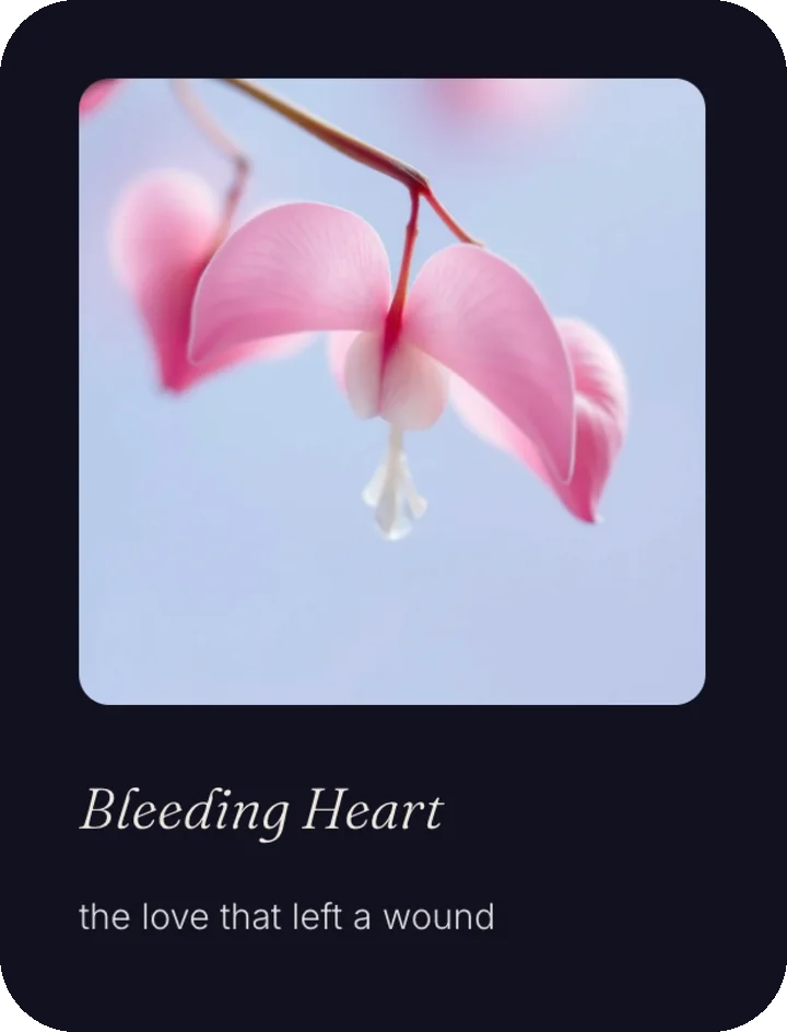 Bloom after Rain, flower card